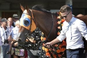 Melody Belle vying for fifth Group One