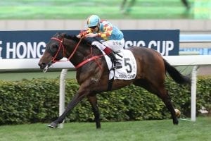 Mission Tycoon shocks them in Hong Kong Classic Cup