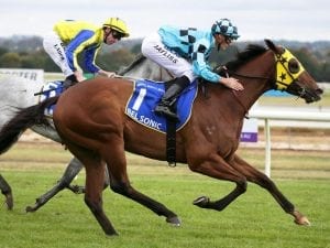 Ben Thompson flys in for Oakleigh Plate