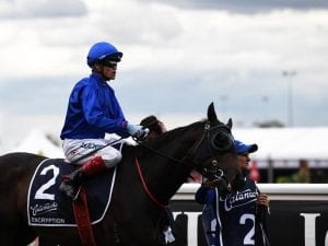 Craig Williams to ride Encryption 1kg over