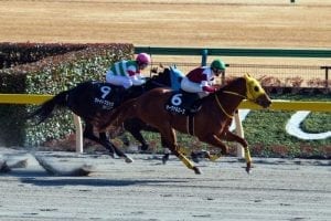 Oval Ace stays unbeaten in Hyacinth on Japan Road To The Derby