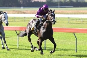 Platinum Invador keeps Derby hopes alive