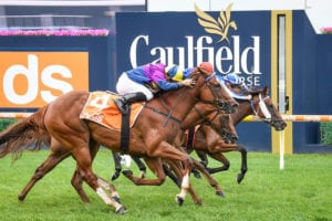 2021 Typhoon Tracy Stakes top betting strategy | Moonee Valley R7