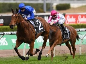 Alizee set for grand entrance at Randwick