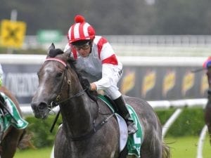 Classique Legend impressive on debut