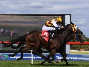 In-form McEvoy completes a Sandown treble