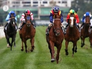 Wednesday Racing Tips: Sandown, February 13 betting strategy