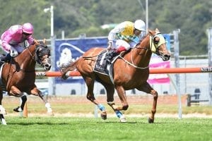 Shadows Cast ready to add to Group One haul