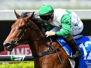 Golden Slipper duo Ef Troop & Outback Barbie to trial in Queensland