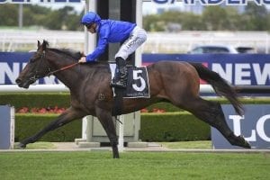 Tassort short-priced favourite for Silver Slipper Stakes