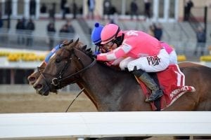 Tax repels foes in thrilling Withers Stakes