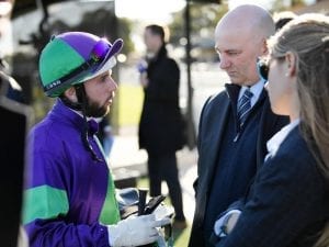 Republic to launch Golden Slipper bid