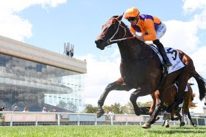 Sebonack dominates the Chairman's Stakes