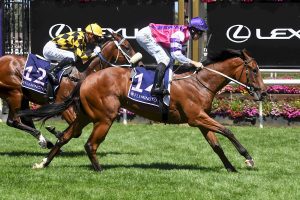 I’mlovin’ya loves the Flemington straight in the Talindert Stakes