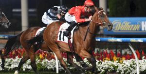 Brugal Reward wins at Moonee Valley