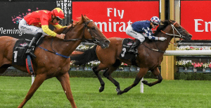 Ducimus wins at Flemington