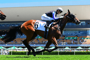 Gypsy Goddess at Doomben