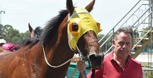 Victorian trainer Simon Morrish and horse Tonteria