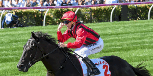 Prized Icon and Glyn Schofield win the Victoria Derby