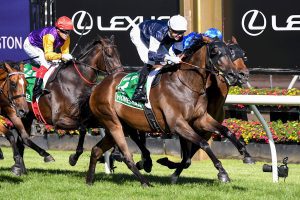 Homesman wins Australian Cup