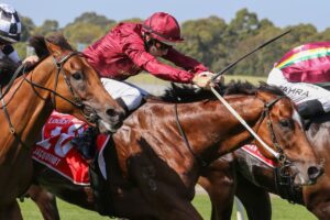 CF Orr Stakes Winner Jacquinot 