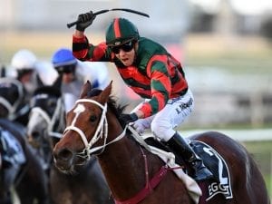 Egg Tart has renewed hunger for racing