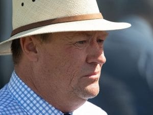 Sunlight's baby sister in Bendigo return