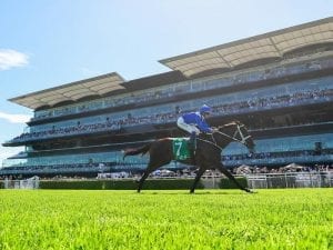 Winx and her place in Australian racing