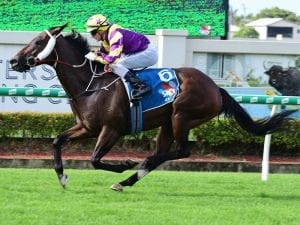 Sword of Justice handles 1600m with ease