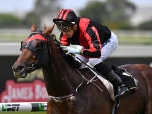 Rains Aplenty revels in the wet at Doomben