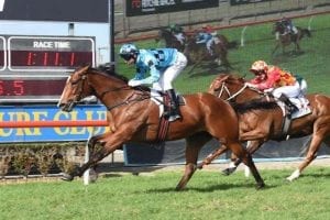 Decision time for Gold Coast Stakes winner