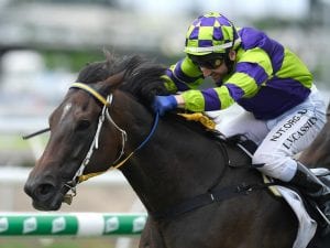 Gelded Fortification finds winning form