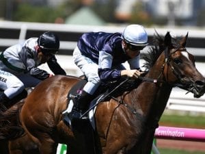 Aloft far too strong in Flemington victory