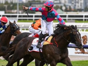 Emotional win for Prebble in Gr 2 Sires'