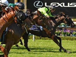 Mockery claims stakes win at Flemington