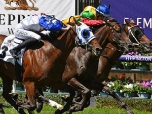 Mr Quickie impresses in Flemington return