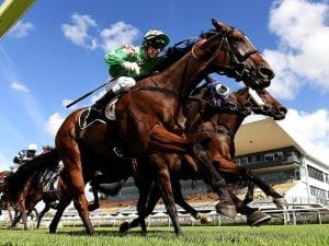 First Crush heading to Toowoomba Cup