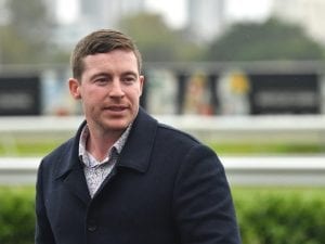 Trainer Ben Currie stood down again