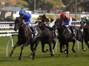 Kementari to clash with Winx in WFA Ryder