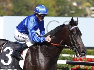 Kementari retired to stand at stud