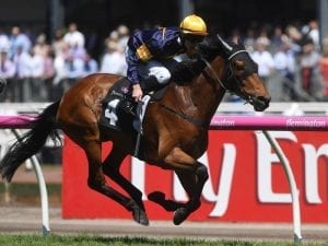 Light autumn planned for Vengeur Masque