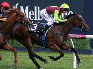 Mornington option favoured for Bons Away