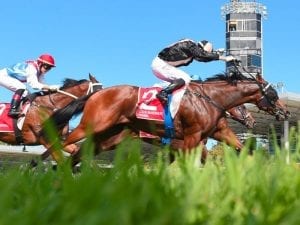 Top mare Tumbler injured, to be retired