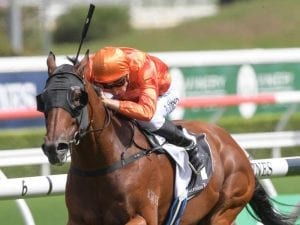 Doncaster-bound Dreamforce a Ryder entry