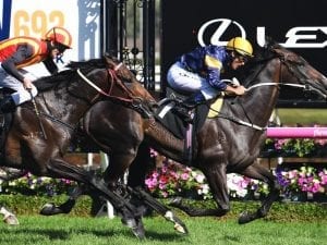 Grunt gives Price third Australian Guineas