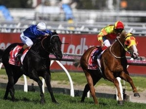 Price trio in top order ahead of Guineas