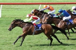 Julius wins 2018 Group 3 Darley Stallions Plate