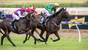 Maiden starter Lady Chant wins WA Oaks