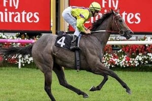 Limestone scratching upsets Darren Weir