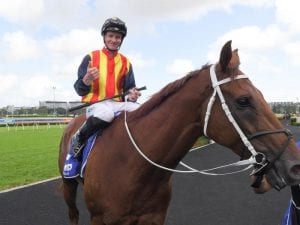 Nature Strip steps up to sprint Challenge